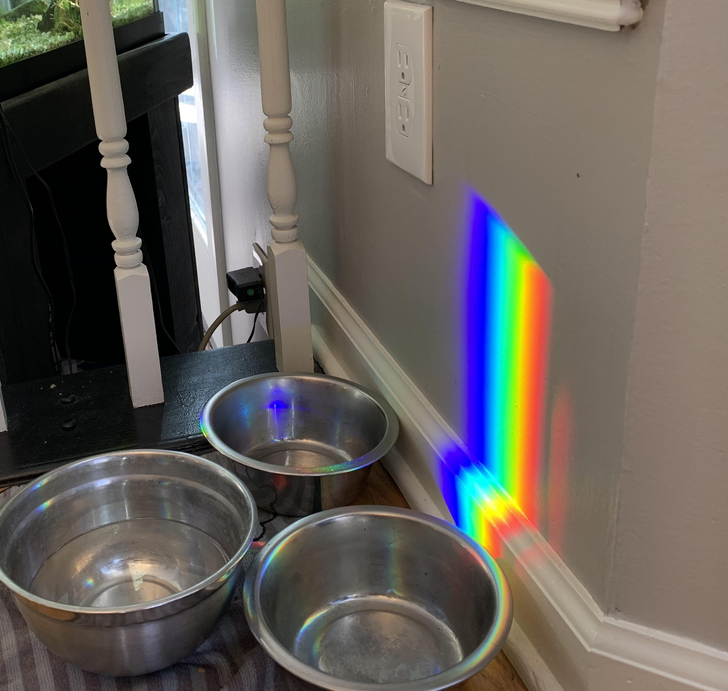 “This perfectly defined rainbow that shows up on the wall every sunny day.”
