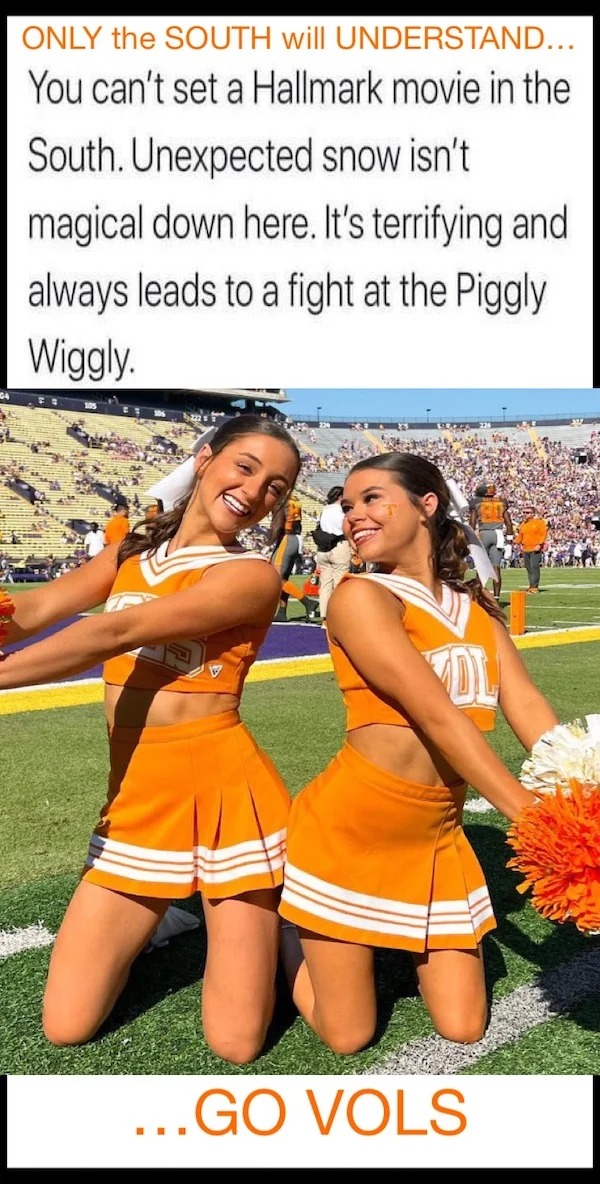 Funny Pics And Memes - thigh - Only the South will Understand... You can't set a Hallmark movie in the South. Unexpected snow isn't magical down here. It's terrifying and always leads to a fight at the Piggly Wiggly. Dl ...Go Vols