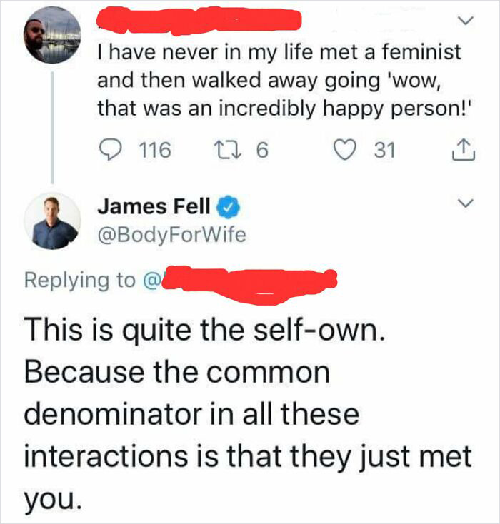 brutal comments - diagram - I have never in my life met a feminist and then walked away going 'wow, that was an incredibly happy person!' 17 6 116 31 you. James Fell @ This is quite the selfown. Because the common denominator in all these interactions is 