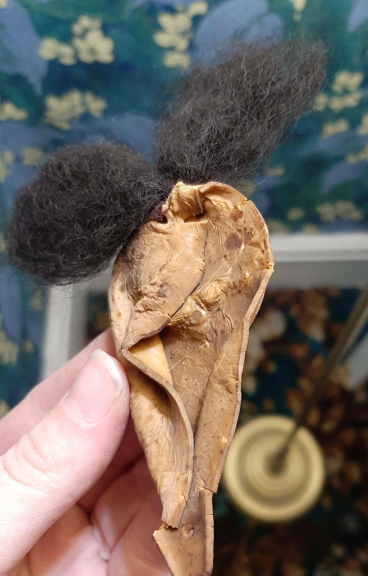 “I bought an old house and found this in a cupboard untouched from the 1960s till today, any idea what this is?”

’’You’re holding it wrong. Looks like a nose with an attached mustache from the joke shop to me, minus the elastic.’’