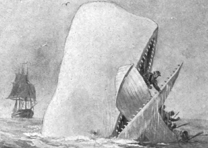 the true story of Moby Dick. A whale sunk a crew’s main ship - leaving 3 sailboats. They’d live if they sailed to a nearby island. Out of fear from (false) stories of cannibalism, they tried going back to the mainland. In tragic irony, they got lost at sea and had to resort to cannibalism.