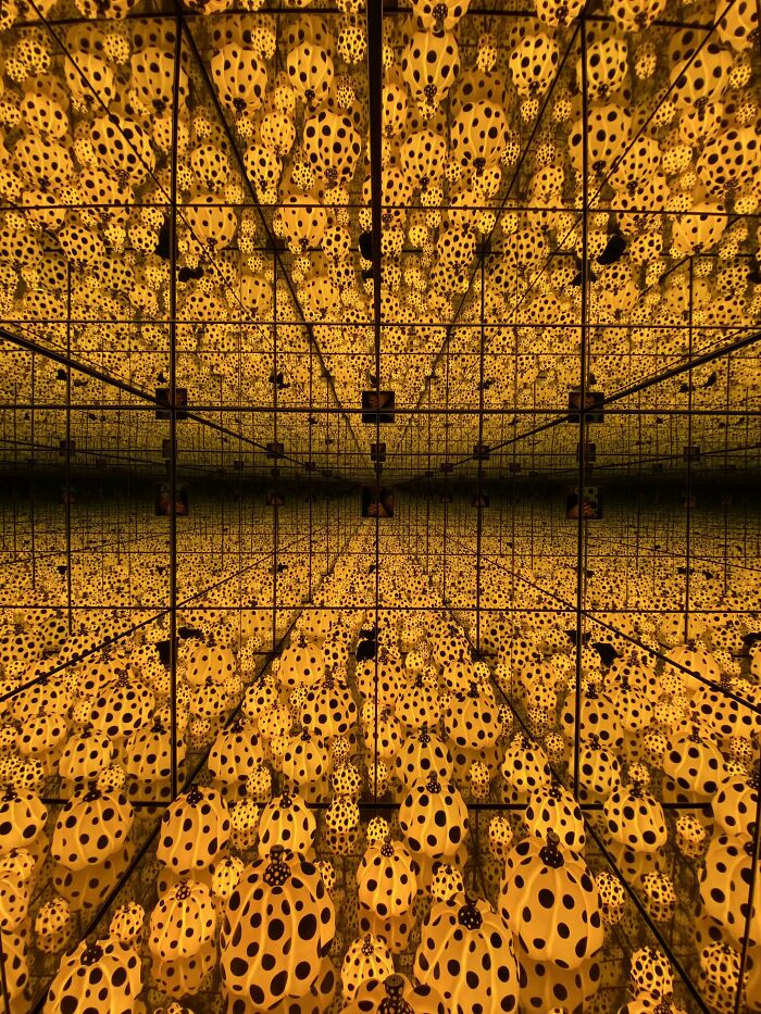 Took This Picture Of An Infinity Mirror In The South Australia Museum Today