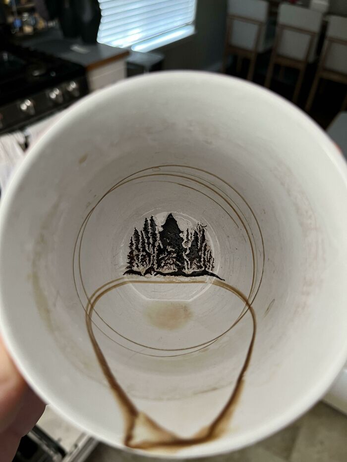 My Dirty Coffee Cup Looks Like A Pine Forest