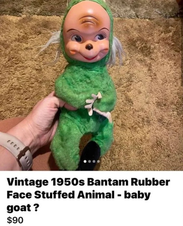 30 WTF Things Being Sold Online.