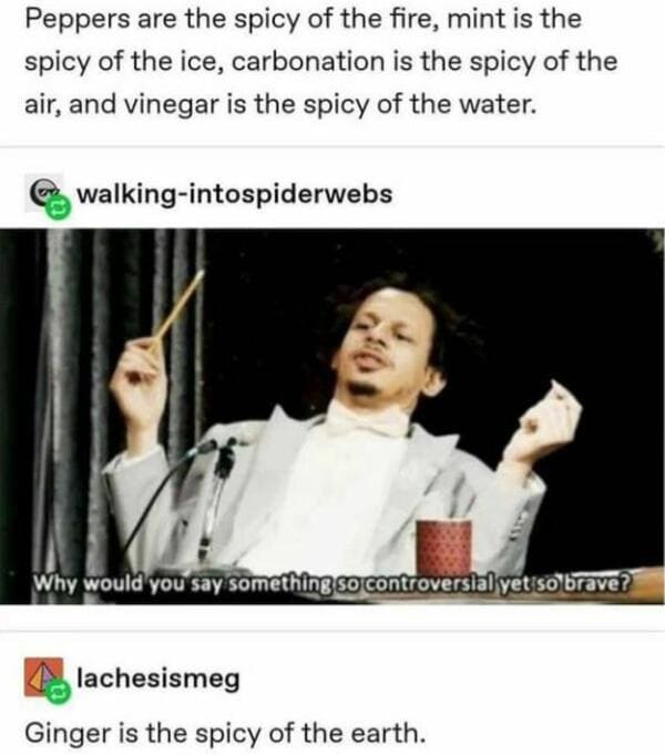 savage comments - spicy of the elements - Peppers are the spicy of the fire, mint is the spicy of the ice, carbonation is the spicy of the air, and vinegar is the spicy of the water. walkingintospiderwebs Why would you say something so controversial yet s