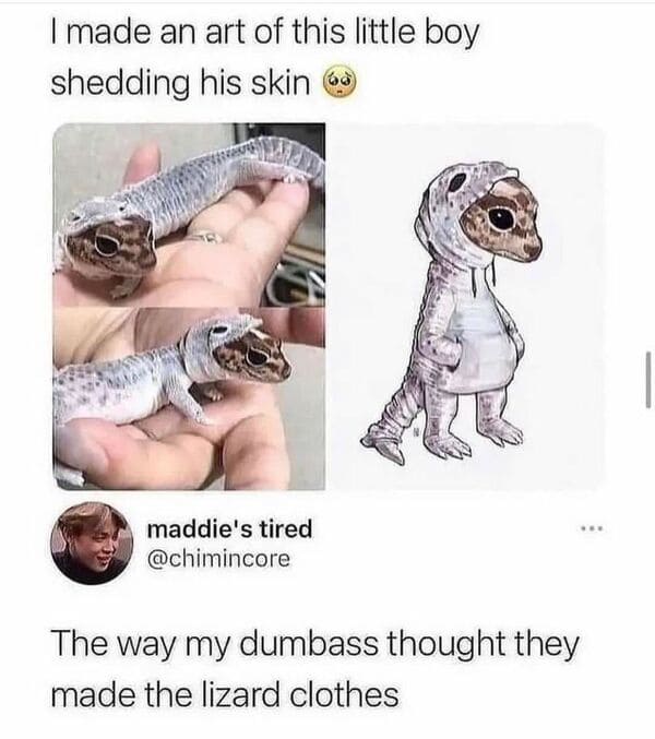 savage comments - fauna - I made an art of this little boy shedding his skin maddie's tired Fome The way my dumbass thought they made the lizard clothes