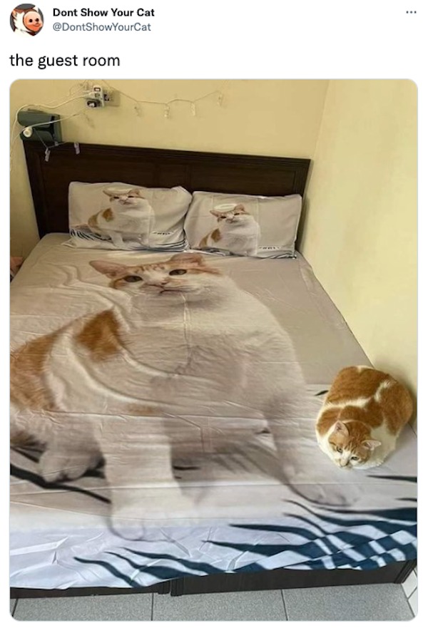 savage tweets - fur - Dont Show Your Cat the guest room