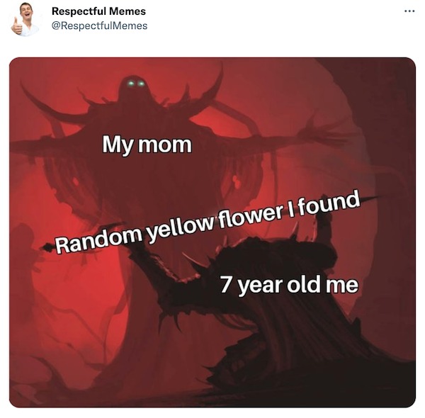 savage tweets - wholesome mom memes - Respectful Memes My mom Random yellow flower I found 7 year old me
