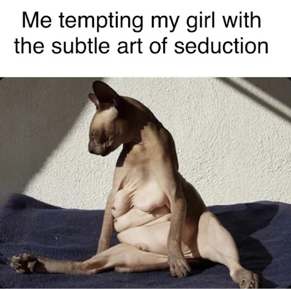 tantric tuesday spicy memes - before you slide in my dm just know i look like this meme - Me tempting my girl with the subtle art of seduction