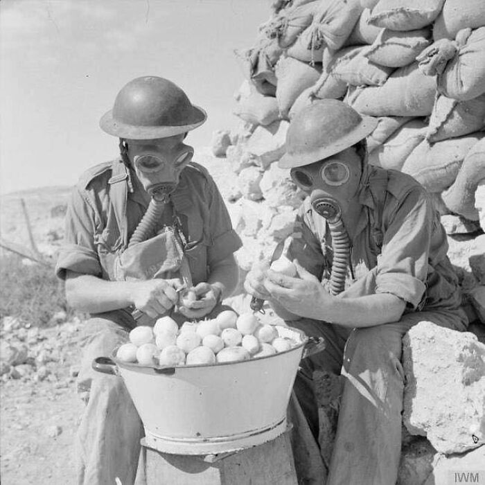 historical photographs - british soldiers wearing gas masks while peeling onions - Iwm