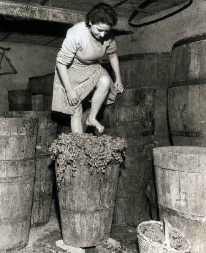 historical photographs - woman stomping grapes