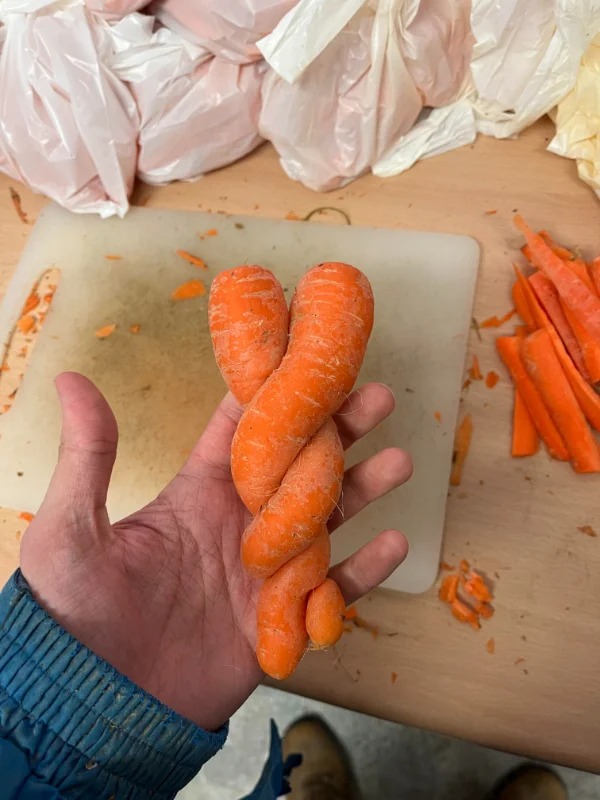 “These carrots that grew around eachother at the farm I work at.”