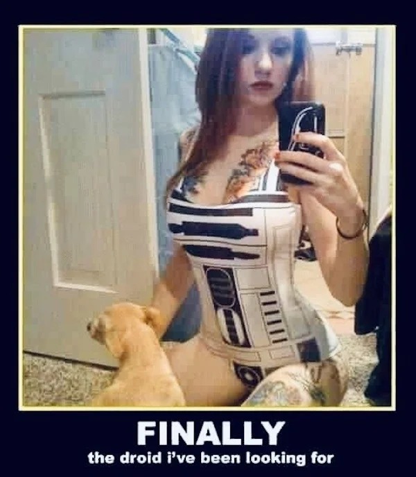 sex memes and dirty pics - photo caption - Wtb Finally the droid i've been looking for