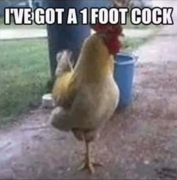 sex memes and dirty pics - I'Ve Got A 1 Foot Cock