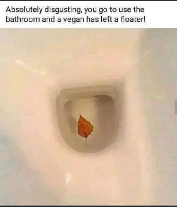 memes that speak the truth - close up - Absolutely disgusting, you go to use the bathroom and a vegan has left a floater!