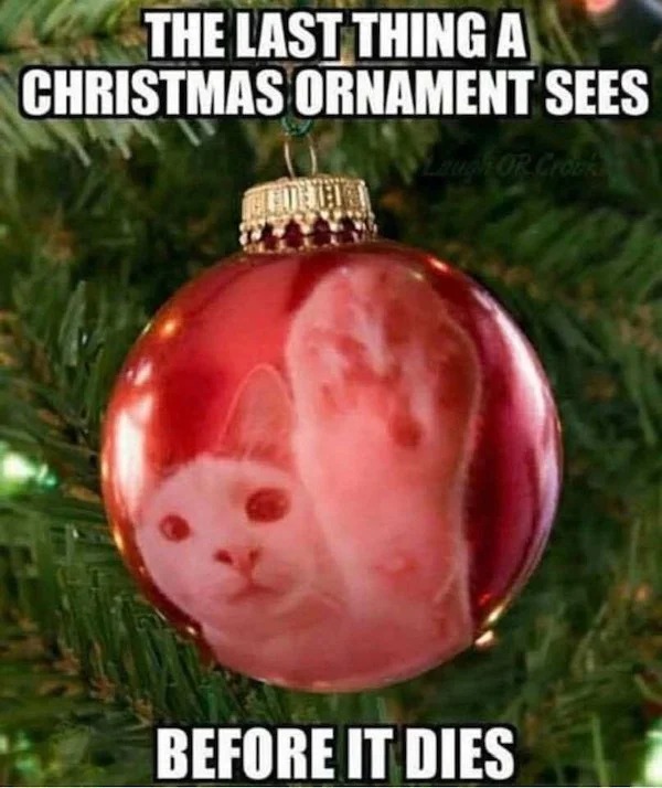 memes that speak the truth - last thing an ornament sees before - The Last Thing A Christmas Ornament Sees Laugh Or Crock Before It Dies