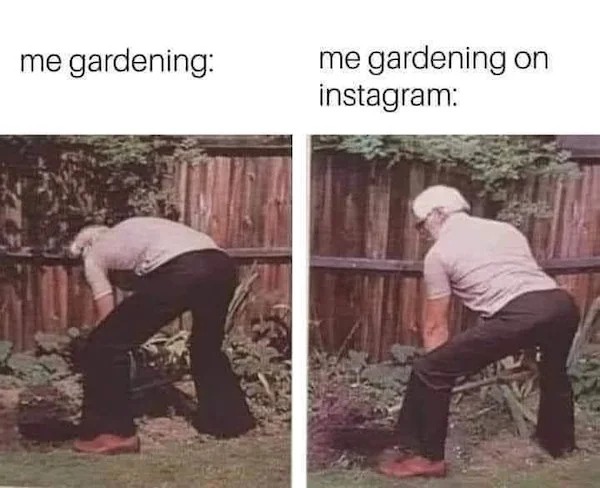 memes that speak the truth - tree - me gardening me gardening on instagram