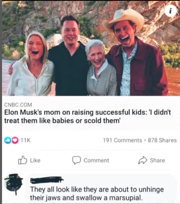 Savage Comments - Elon Musk's mom on raising successful kids 'I didn't treat them babies or scold them In They all look they are about to unhinge their jaws and swallow a marsupial.
