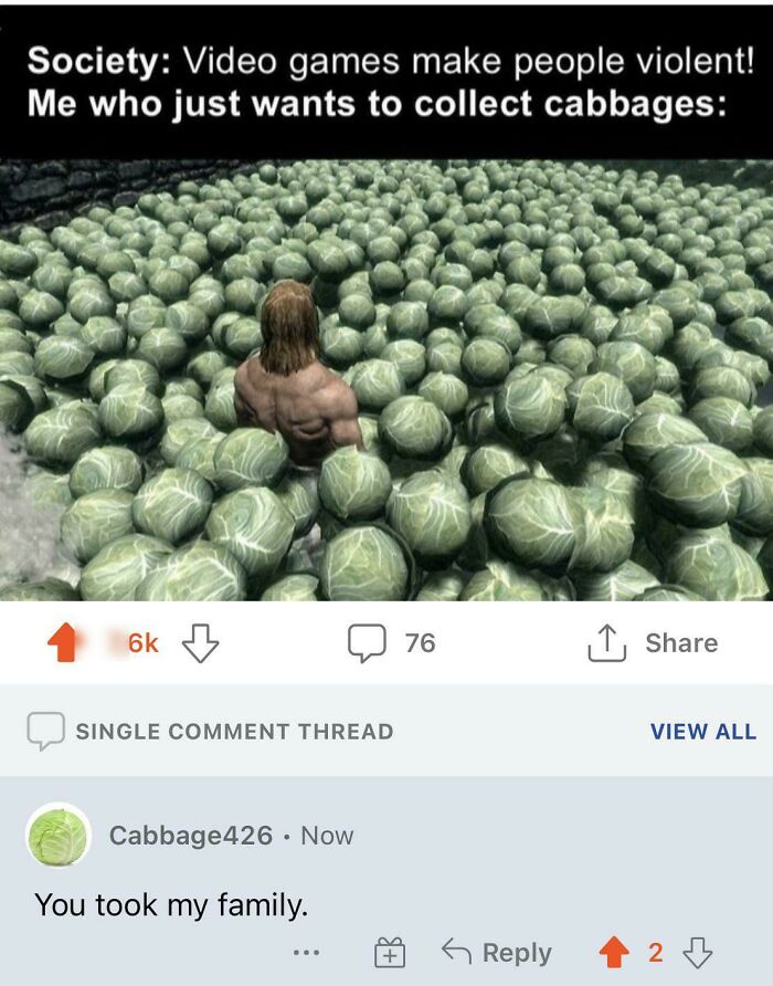 the perfect usernames - produce - Society Video games make people violent! Me who just wants to collect cabbages 6k Single Comment Thread Cabbage426. Now You took my family. 76 View All 2