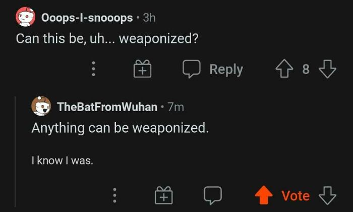 the perfect usernames - screenshot - OoopsIsnooops. 3h Can this be, uh... weaponized? TheBatFromWuhan . 7m Anything can be weaponized. I know I was. 48 Vote