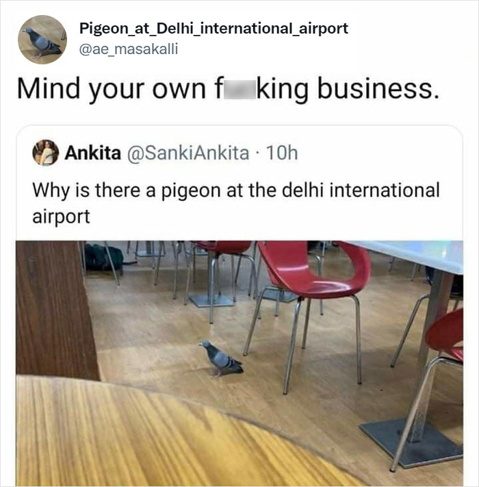 the perfect usernames - table - Pigeon_at_Delhi_international_airport Mind your own f king business. Ankita . 10h Why is there a pigeon at the delhi international airport