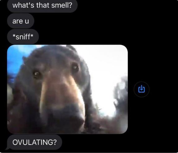 Creepy texts - you sniff ovulating - what's that smell? are u sniff Ovulating? G