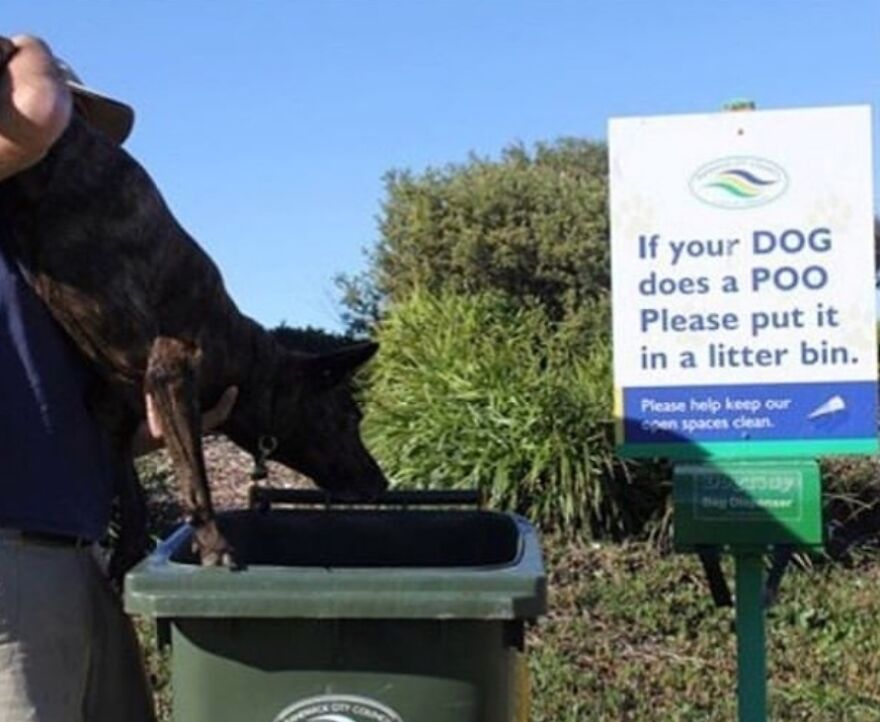 instructions unclear - taking signs literally - Oty Corne Emack C If your Dog does a Poo Please put it in a litter bin. Please help keep our open spaces clean.