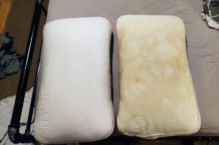 "A pair of pillows. Both used the same amount for 1 year. My partner is a nighttime drooler."