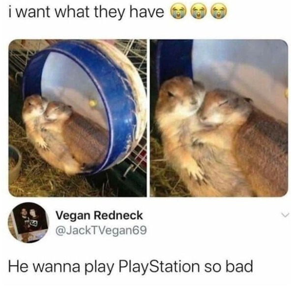 Internet Responses - he just wanna play playstation - i want what they have H Vegan Redneck He wanna play PlayStation so bad