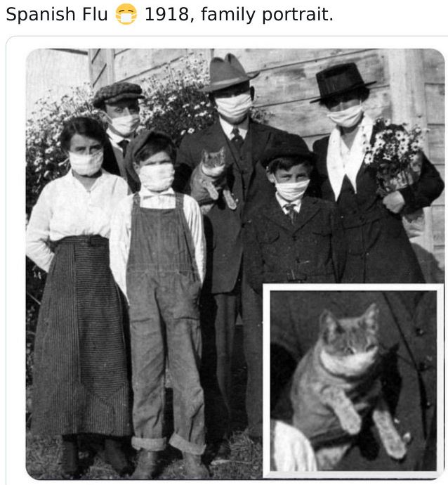 Historical pictures - spanish flu picture cat - Spanish Flu 1918, family portrait. Glar