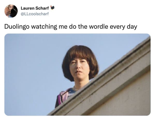funniest tweets of the week - human behavior - Lauren Scharf Duolingo watching me do the wordle every day