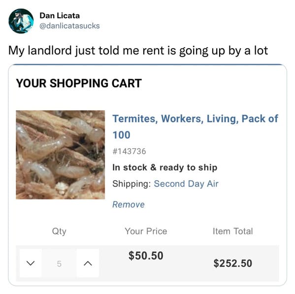 funniest tweets of the week - landlord raising rent termites - Dan Licata My landlord just told me rent is going up by a lot Your Shopping Cart Qty 5