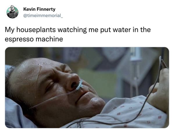 funniest tweets of the week - photo caption - Kevin Finnerty My houseplants watching me put water in the espresso machine