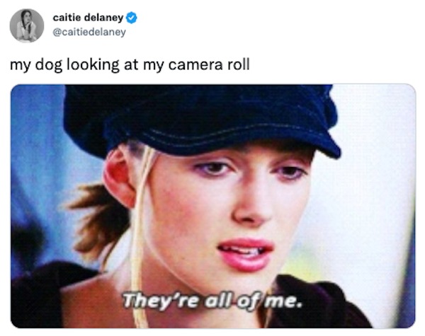 funniest tweets of the week - Hot take - caitie delaney my dog looking at my camera roll They're all of me.