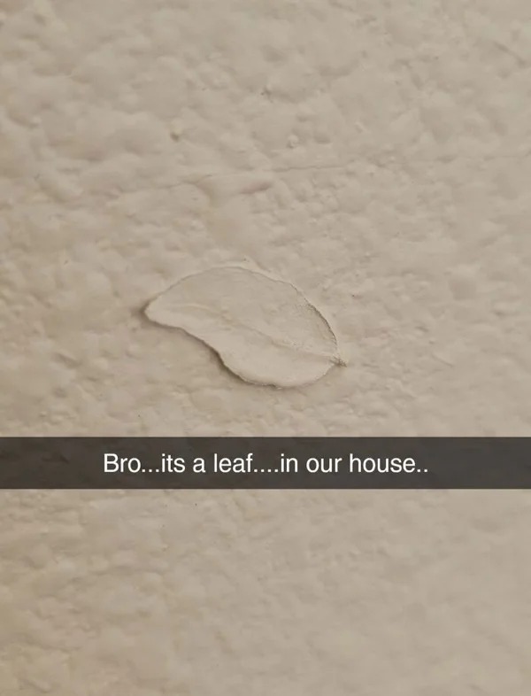 home improvment fails - sand - Bro...its a leaf....in our house..