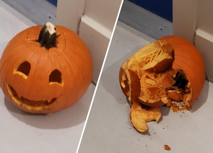’’I carved a pumpkin for the first time in my life.’’