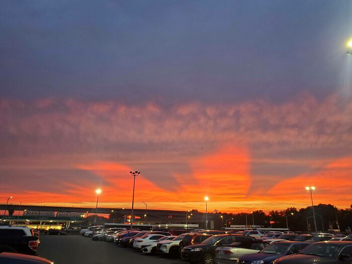 Sunset Pic I Took From Jfk Airport. Could These Shadows Be The Manhattan Skyline?
Answer: I live near Mt. Rainier and this happens too, only at dawn. The mountain casts its shadow on the underside of the clouds. This is just as impressive as that.