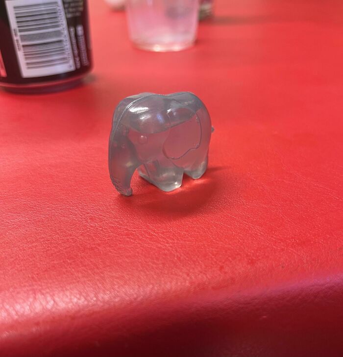 Small Elephant Filled With Water Left At Flat After Party. Debating With Flatmates Over What It’s Purpose Could Be.
Answer: It's a melted reusable ice cube