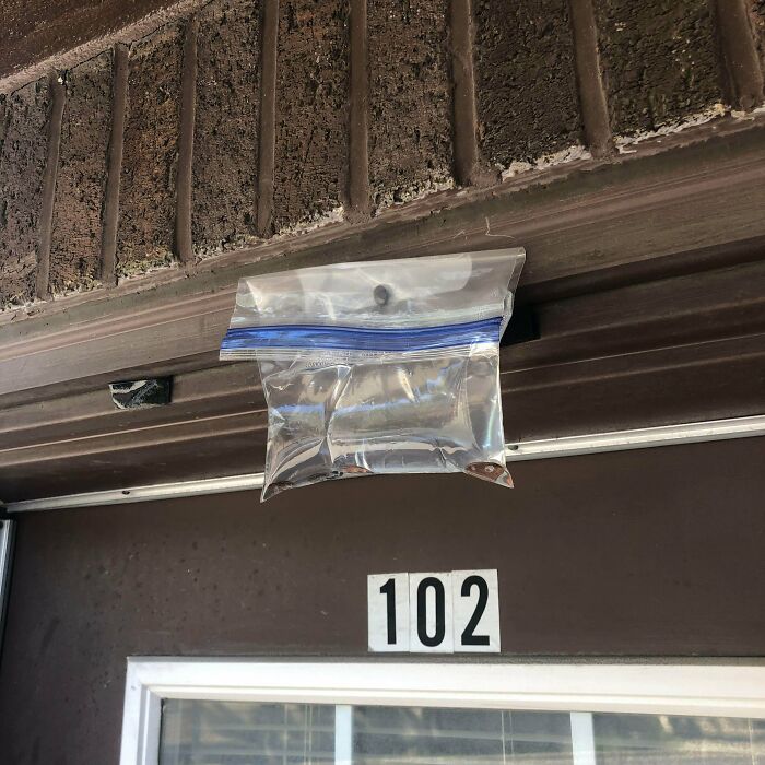 Seen While Walking Down The Street. A Ziplock Bag Tacked Above A Door. Seems To Contain Water And A Few Pennies. What Could This Be For?
Answer: Homemade mosquito/fly deterrent. The light reflecting off the water and pennies is supposed to scare off pesky bugs.