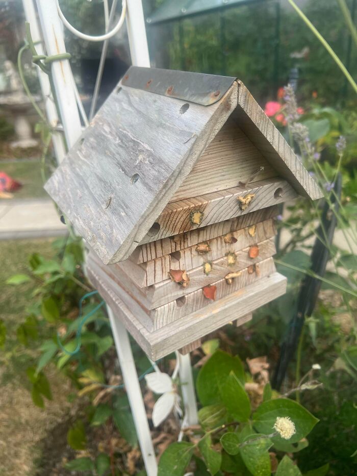 What Is Using This Little Wooden House In My Garden?
Answer: It's for any of the solitary bees, like mason bees.