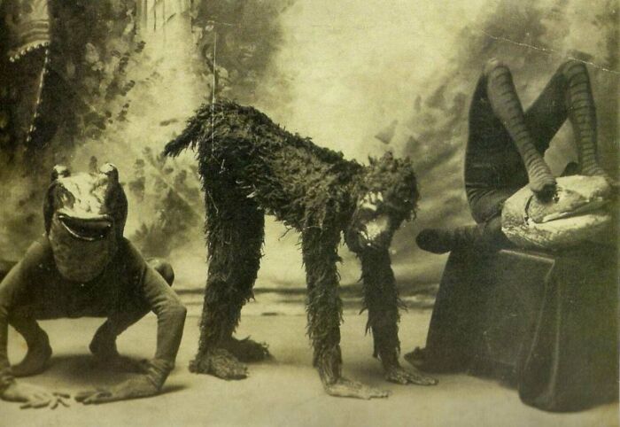 wtf pics from history - vintage furries -