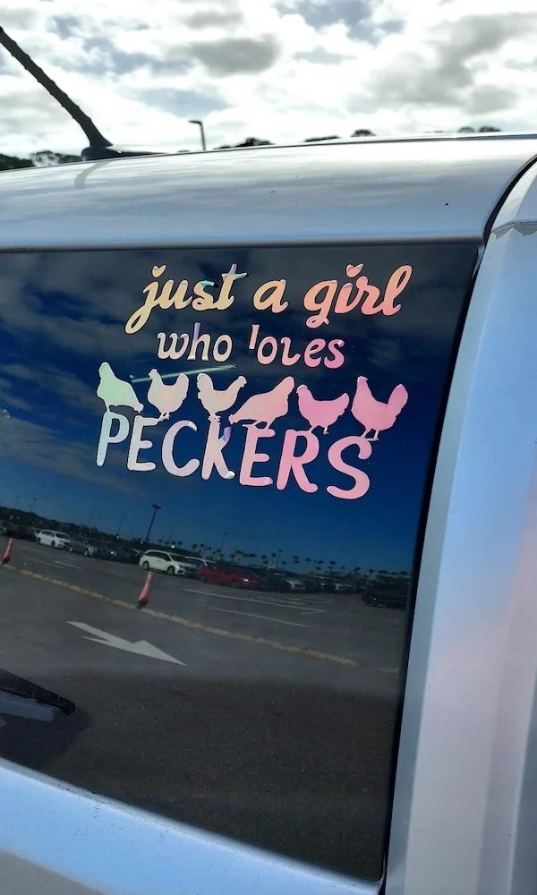 spicey sex memes and pics - compact car - just a girl who loves Peckers