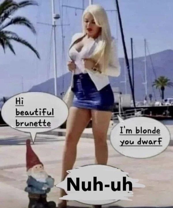 spicey sex memes and pics - blond - Hi beautiful brunette I'm blonde you dwarf Nuhuh