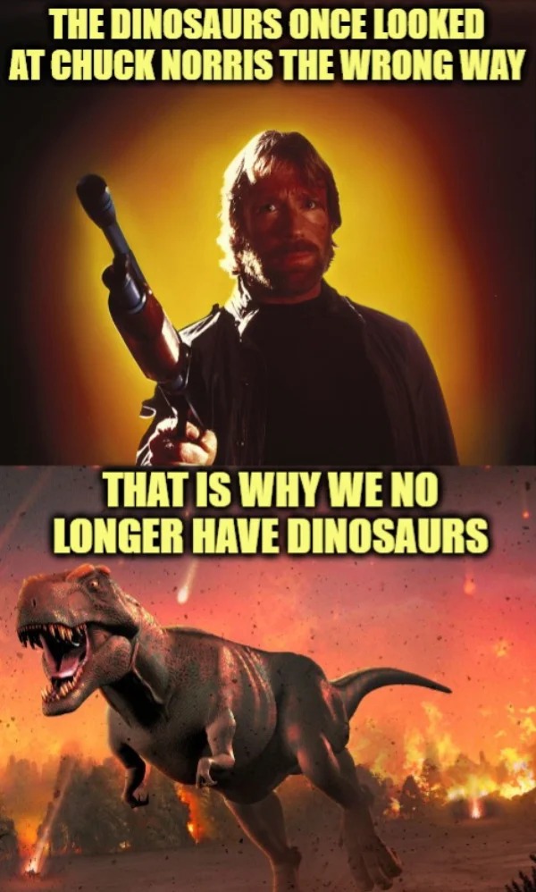 too true memes -  dinosaur extension - The Dinosaurs Once Looked At Chuck Norris The Wrong Way That Is Why We No Longer Have Dinosaurs