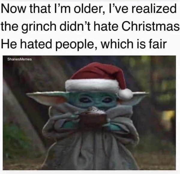 too true memes -  photo caption - Now that I'm older, I've realized the grinch didn't hate Christmas He hated people, which is fair ShanesMemes