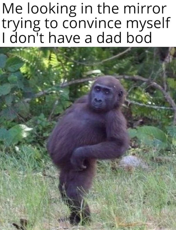 too true memes -  fauna - Me looking in the mirror trying to convince myself I don't have a dad bod