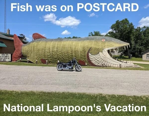 too true memes -  grass - Open Spy Saturday Ns For Rint Ht Min Fish was on Postcard P National Lampoon's Vacation