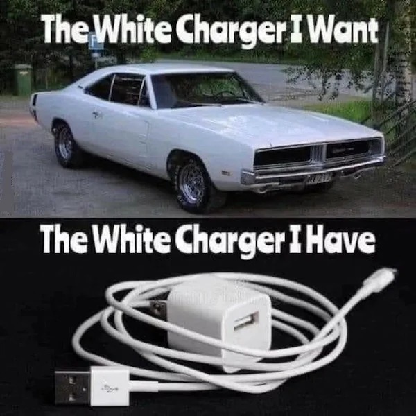 too true memes -  white charger i want - The White Charger I Want The White Charger I Have