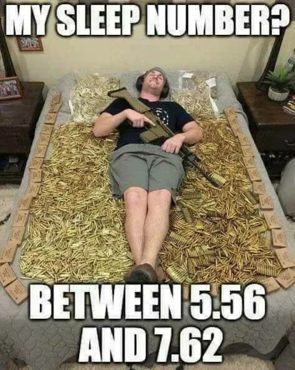 too true memes -  funny concealed carry meme - My Sleep Number? Between 5.56 And 7.62