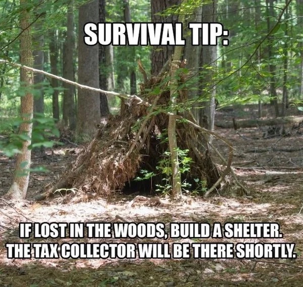 too true memes -  tree - Survival Tip If Lost In The Woods, Build A Shelter. The Tax Collector Will Be There Shortly.